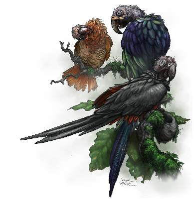 Carrion Parrots